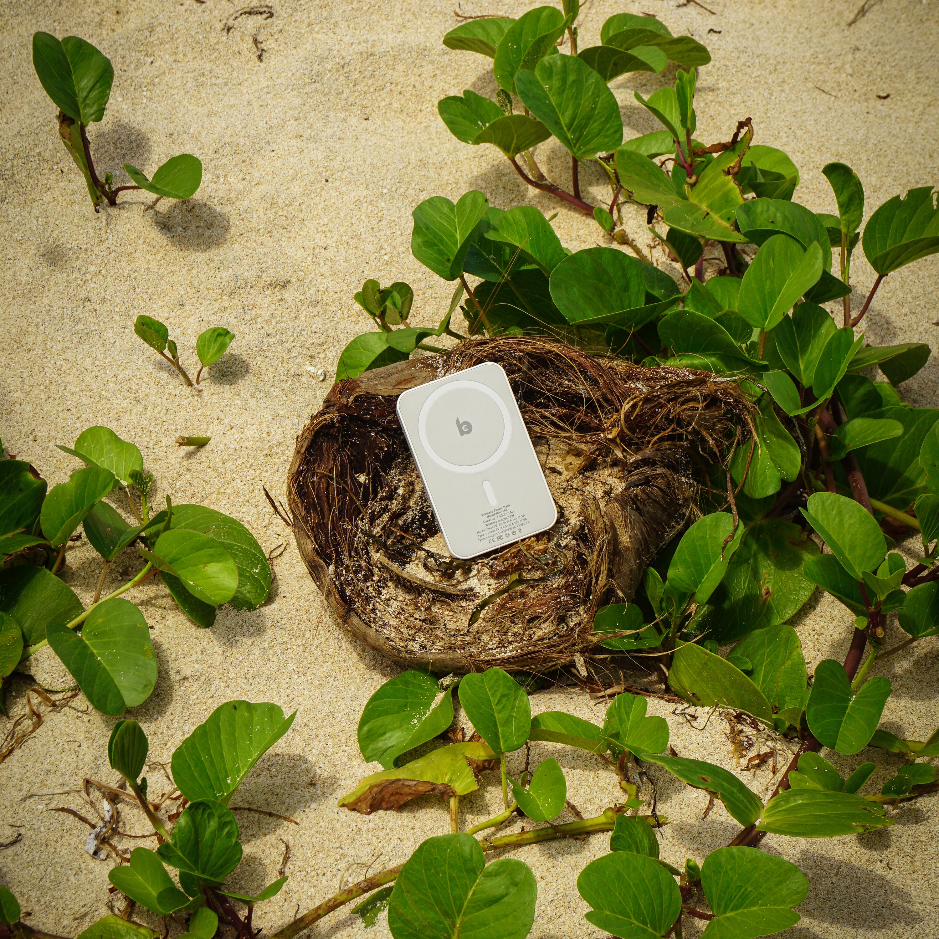 Witte Banky MagSafe powerbank in een nestje op het strand, omringd door groen